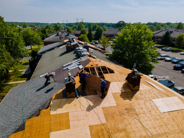 Trusted Roof Replacement service in Julian, WV - Brentwood Metal Roofing